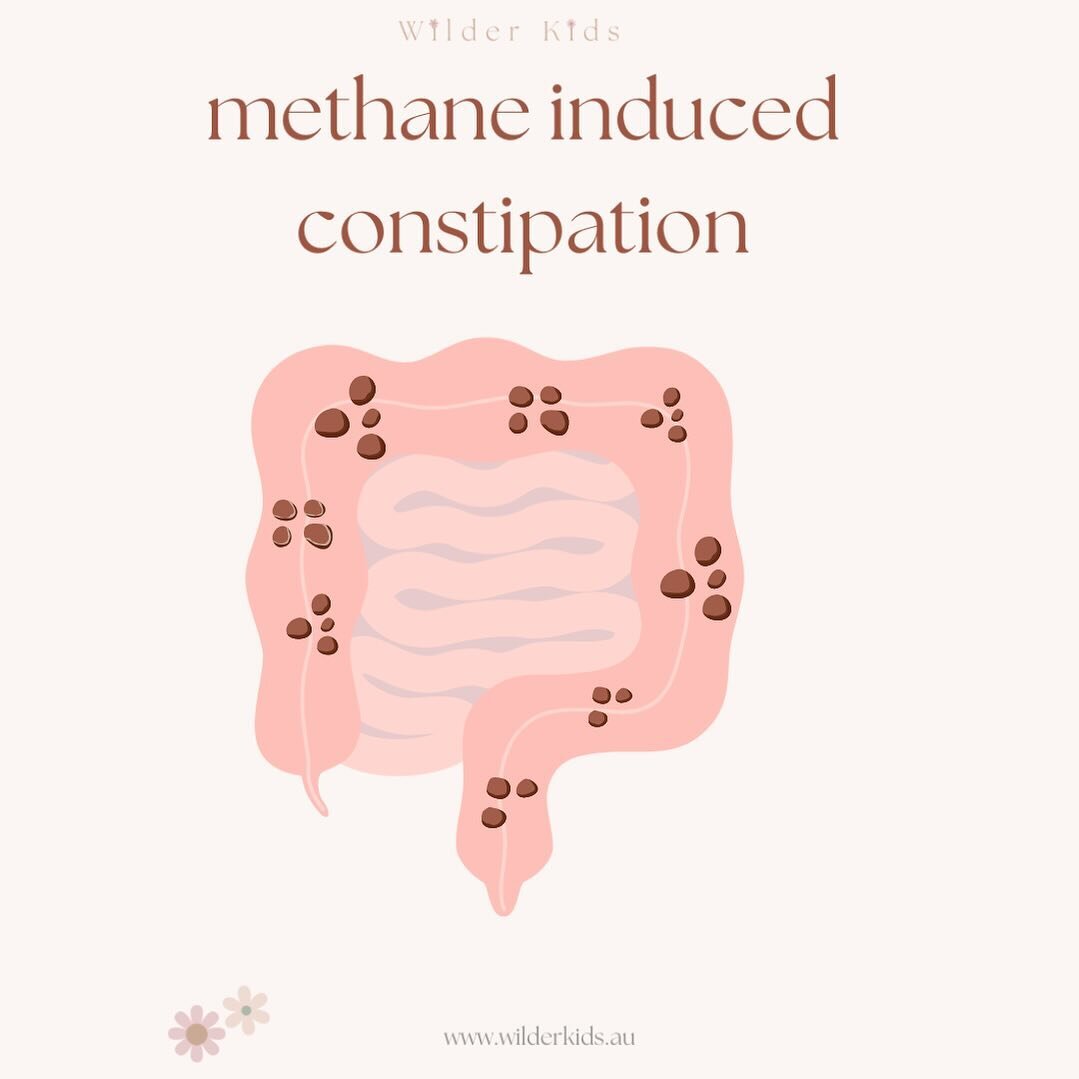 Methane Induced Constipation ~ 

There many underlying causes of constipation but methane a a common reason for constipation in adults and children. 

Methane can be found in the small bowel and large bowel and often associated with constipation. 

T