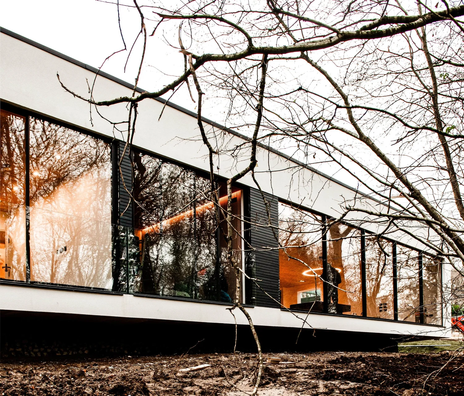 Glazed elevation set among the trees