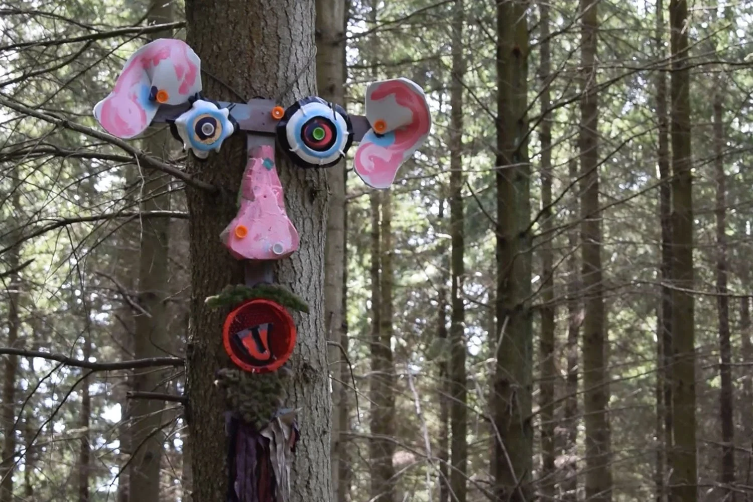 A tree that has a face made from litter stuck on it.