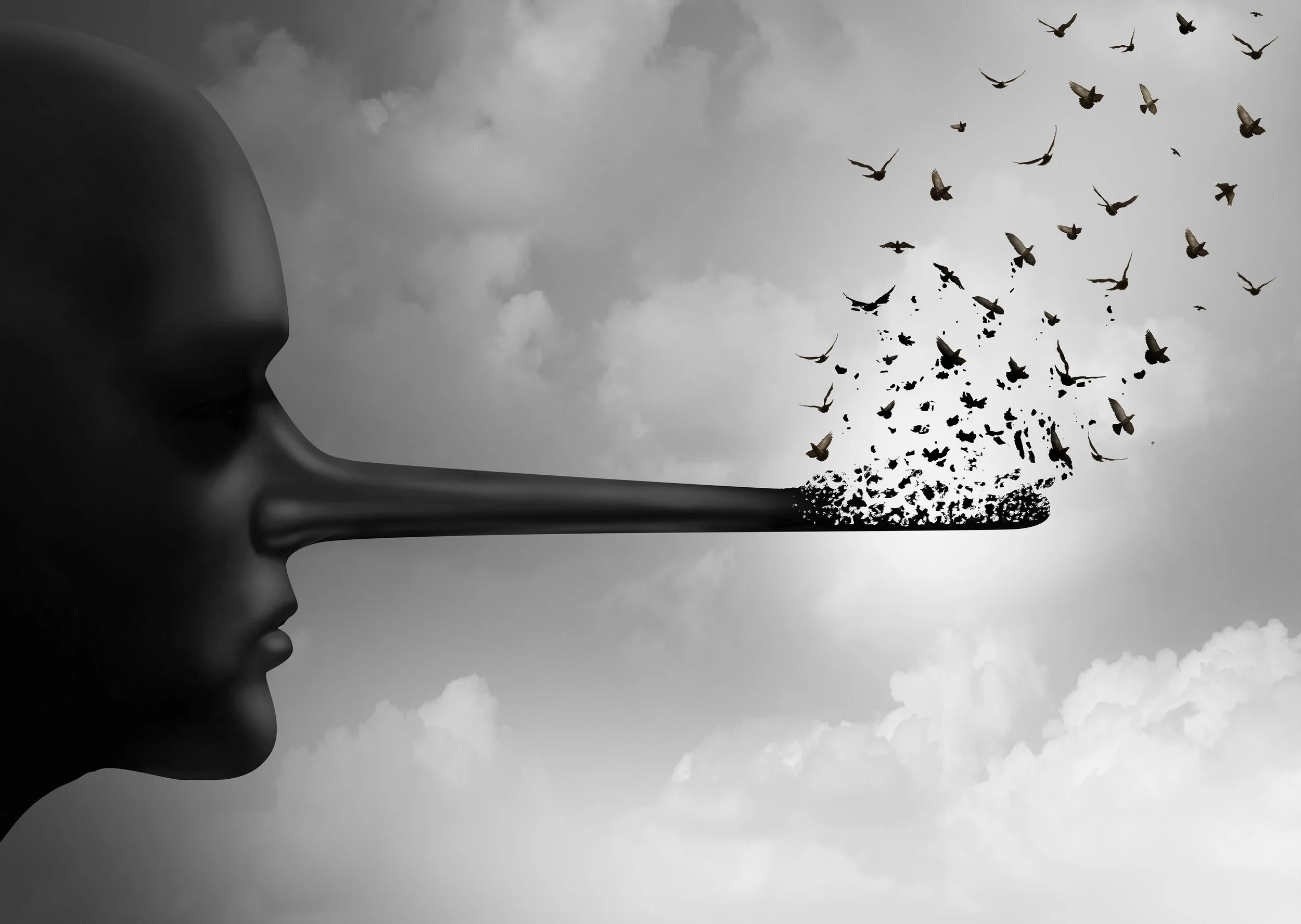 A fblack and white image - a face to the left has a long nose akin to Pinocchio.  It's tip is melting away into birds that are flying away.