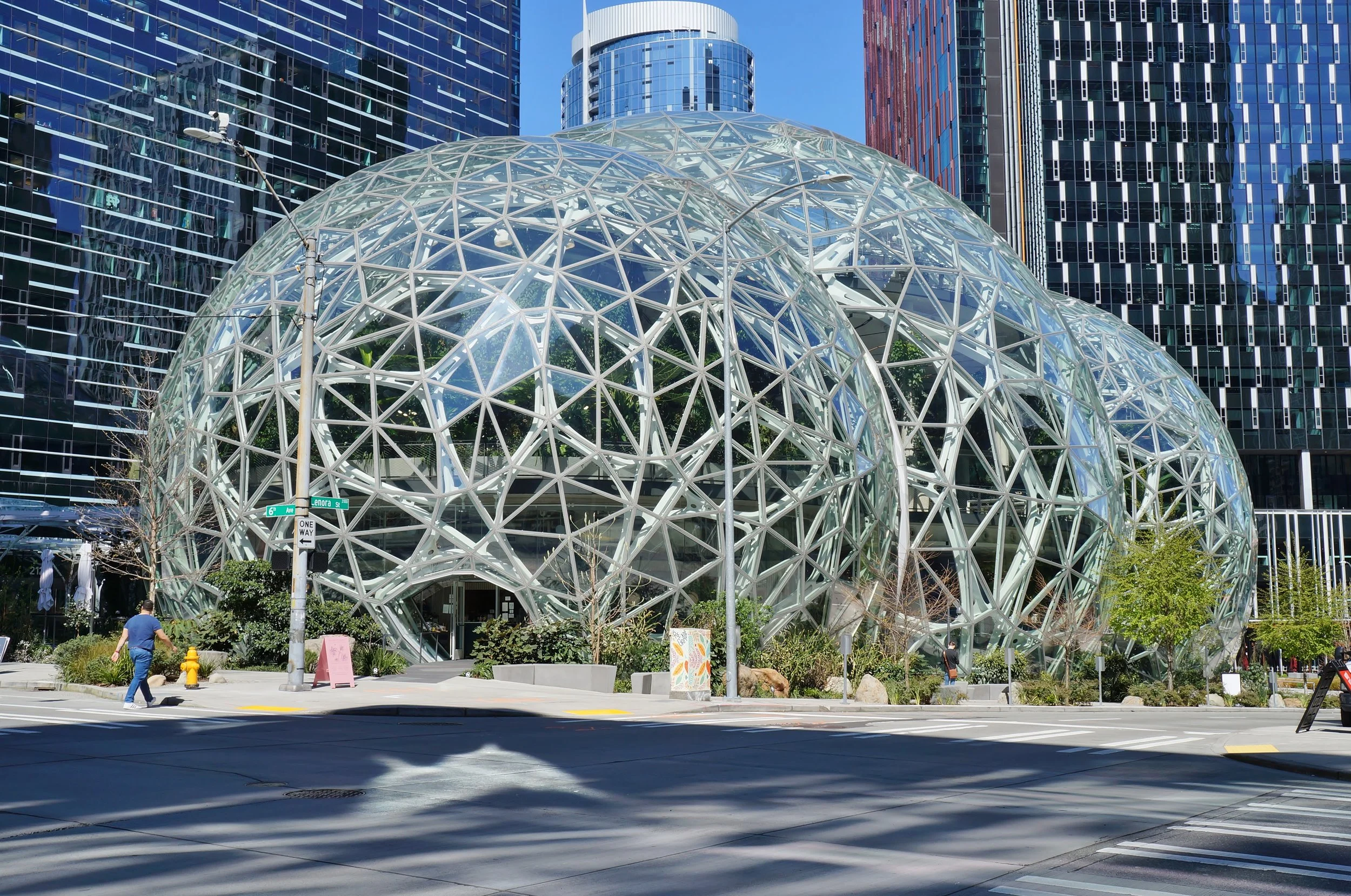 Amazon Spheres outside Amazon HQ in Seattle - a series of interlocking, geodesic domes.