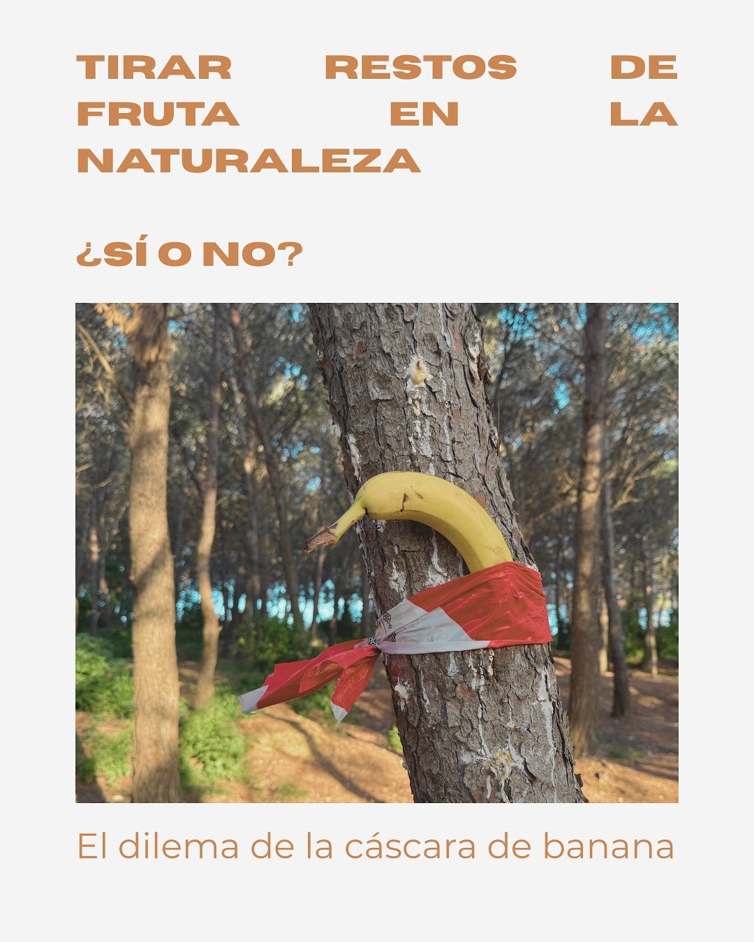 Estuve investigando un poco y puedo decir que confirm&eacute; la hip&oacute;tesis. Ac&aacute; dejo algunas conclusiones r&aacute;pidas, y la nota completa est&aacute; en el blog.

Lo que m&aacute;s me llam&oacute; la atenci&oacute;n: cuanto m&aacute;