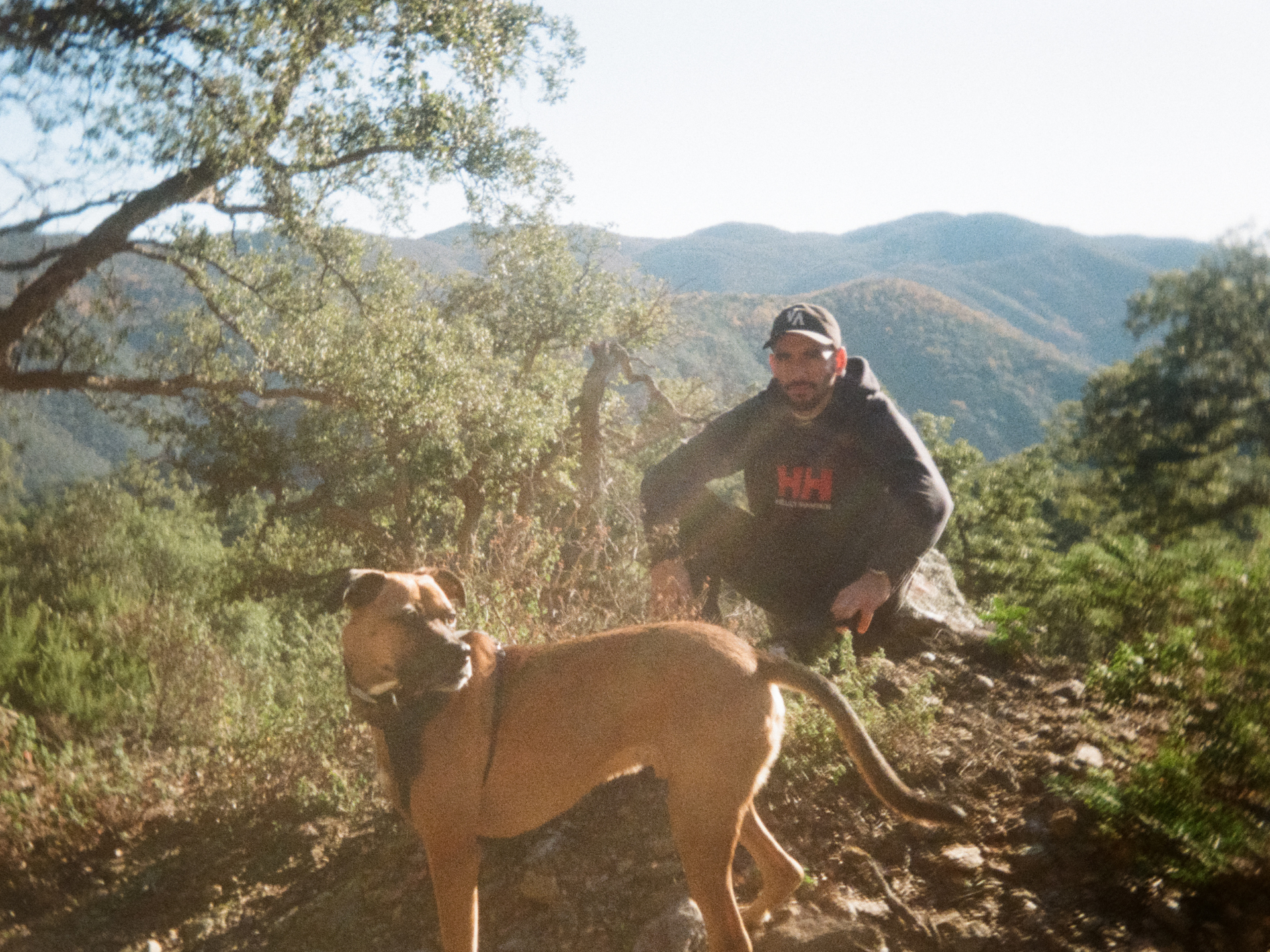 Viaje en avión con perro en bodega—episodio 3