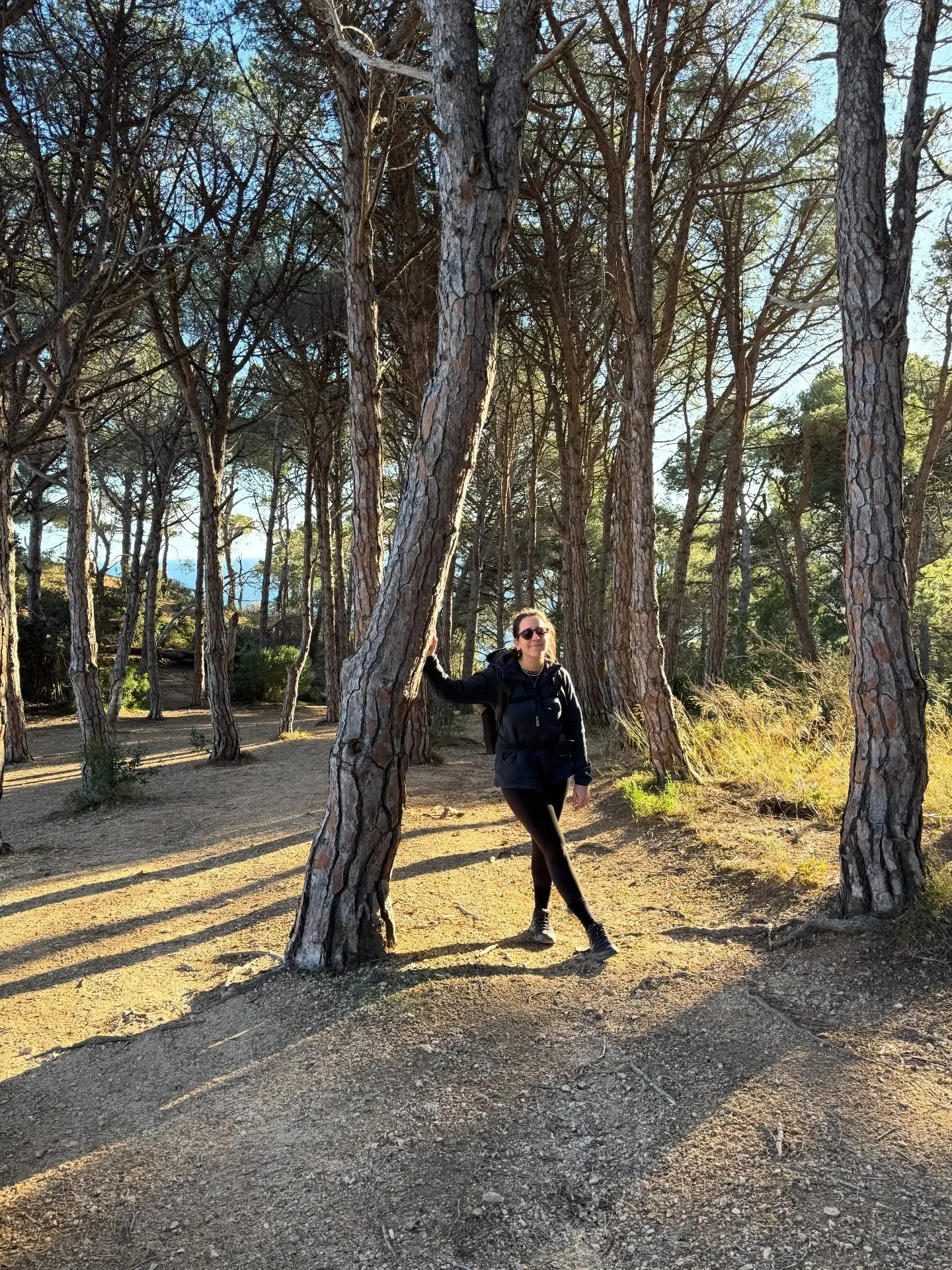 no se trata tanto de viajar,
sino de habitar el territorio

catalunya, este &uacute;ltimo a&ntilde;o

quedarse un poco m&aacute;s
caminar, confiar en el camino