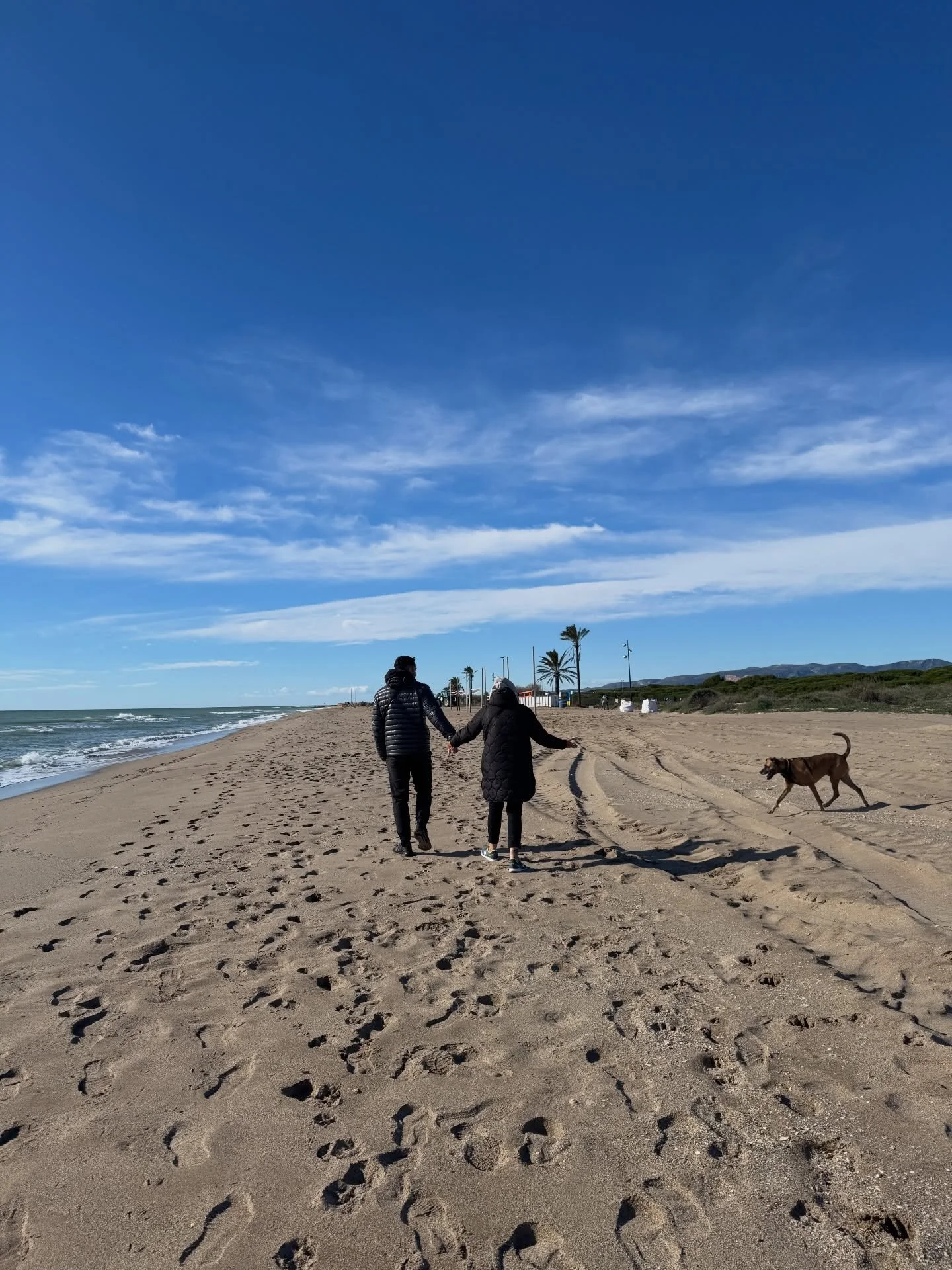 Un popurr&iacute; de este mes con mi mam&aacute; 🫶🏼

&iexcl;Que lindo lo pasamos!