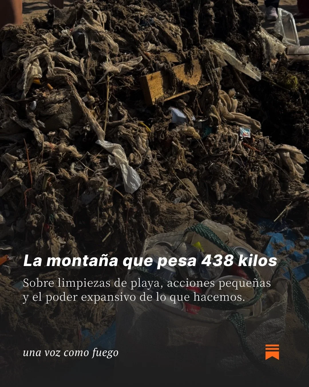 Fui a limpiar una playa y pasaron cosas que no estaban planeadas. Cosas que no hubieran pasado si me quedaba en casa. La experiencia de ir, de poner el cuerpo, de encontrarme con otrxs &mdash; genera olas que no sab&eacute;s que existen hasta que est