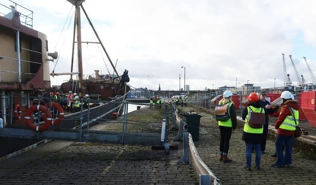 Recent Visitors2.jpeg