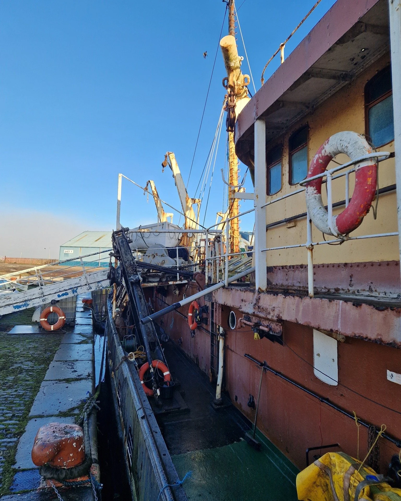 Restoring the Starboard Waist Deck2.jpg