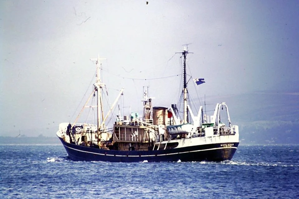 12705209_10156481968750092_7175403864193858034_n copy.jpg