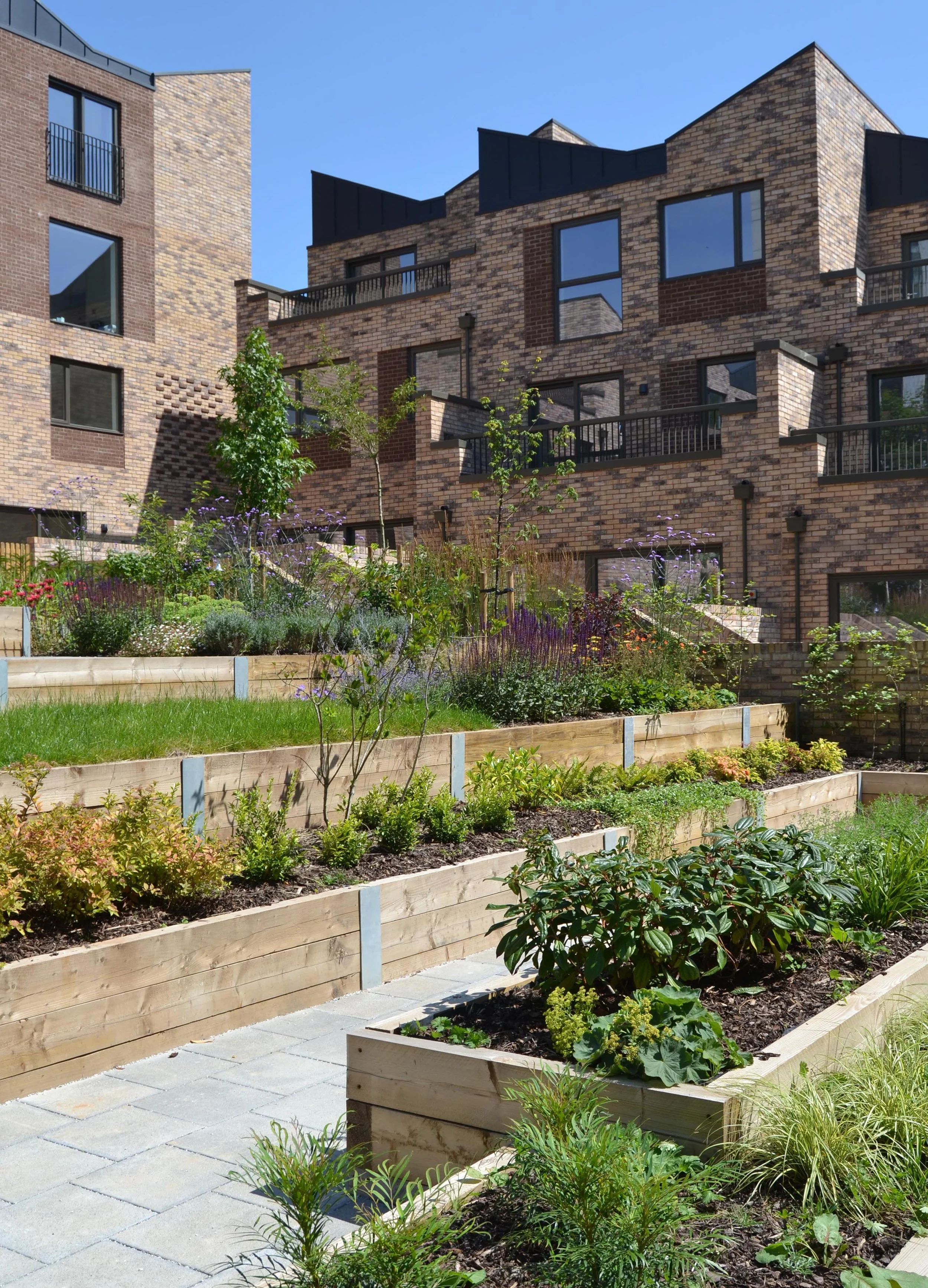 Fruit Market Wins Housing Design Award