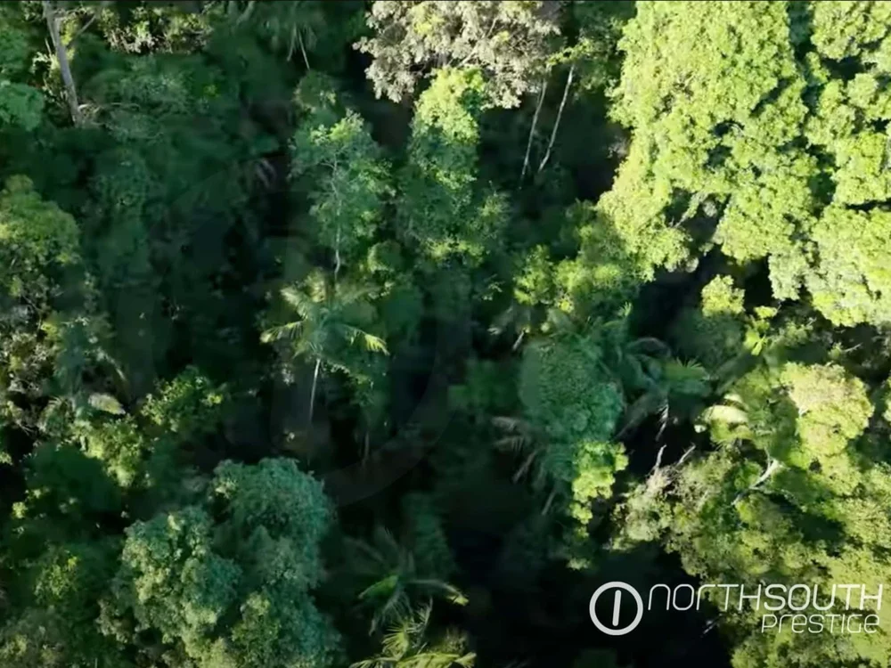 Tree tops view over Samford Valley 1,000 acres development property for sale