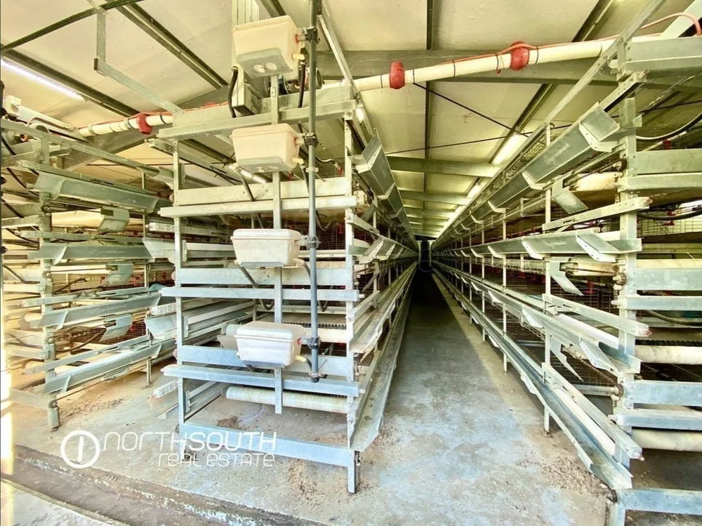 House 1 on egg farm property at Pimpama Jacobs Well Rd Norwell included in properties for sale
