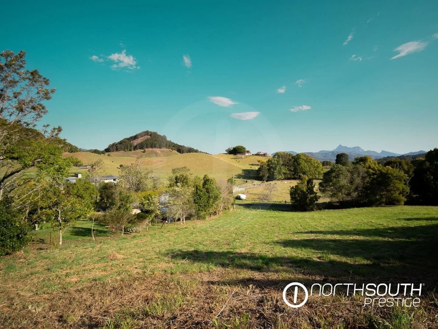 Back paddock at properties for sale northern nsw nobbys creek 100 acres, ideal for livestock or recreation.