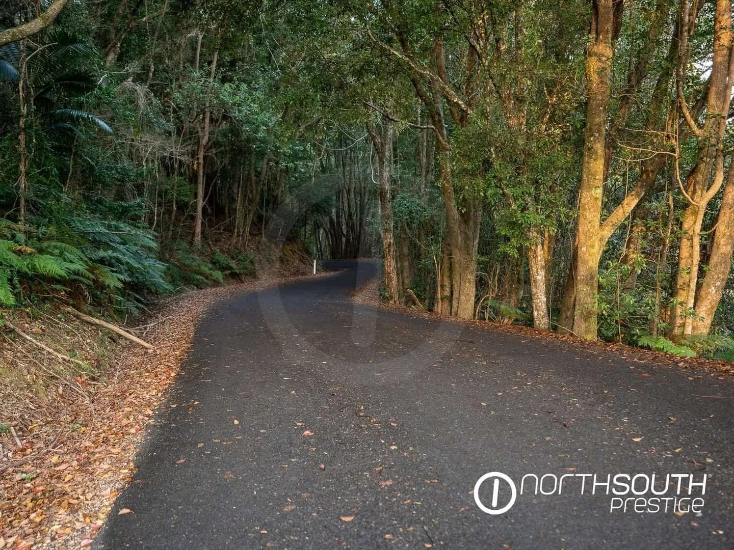 Nobbys Creek Road access to properties for sale northern nsw nobbys creek 100 acres.