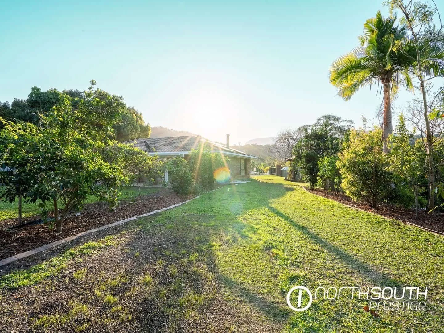 Backyard fruit trees at properties for sale northern nsw nobbys creek 100 acres.