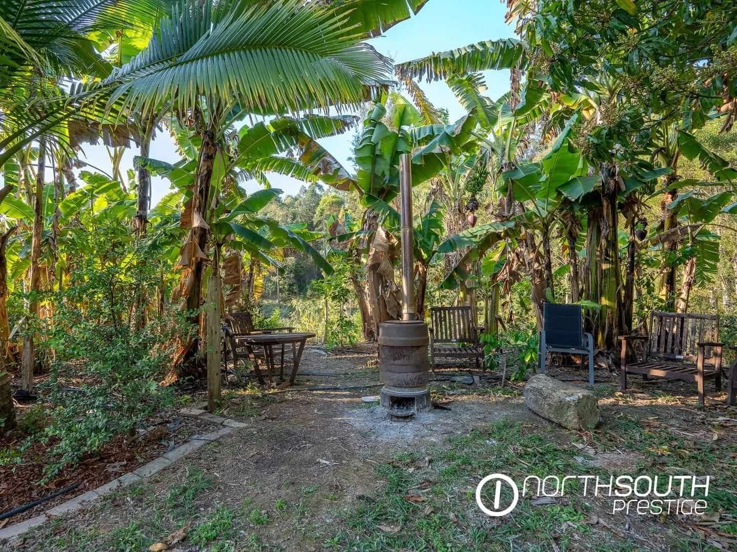 Backyard fire pot surrounded by banana trees at properties for sale northern nsw nobbys creek 100 acres.