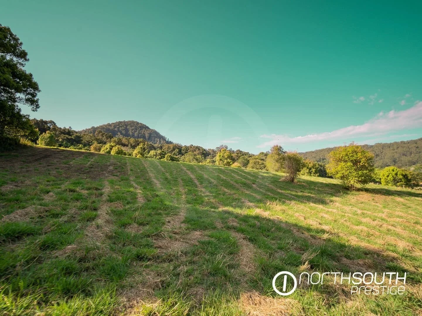 Mowed hillside at properties for sale northern nsw nobbys creek 100 acres.