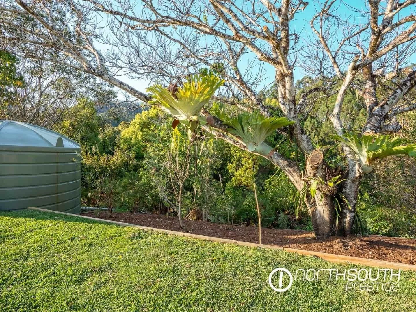 Water tank and crows nests at properties for sale northern nsw nobbys creek 100 acres.