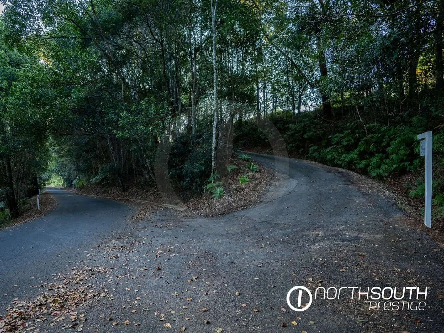 Driveway entrance at properties for sale northern nsw nobbys creek 100 acres.