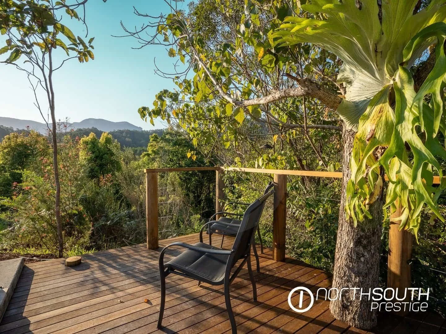 Deck with stunning views at properties for sale northern nsw nobbys creek 100 acres.