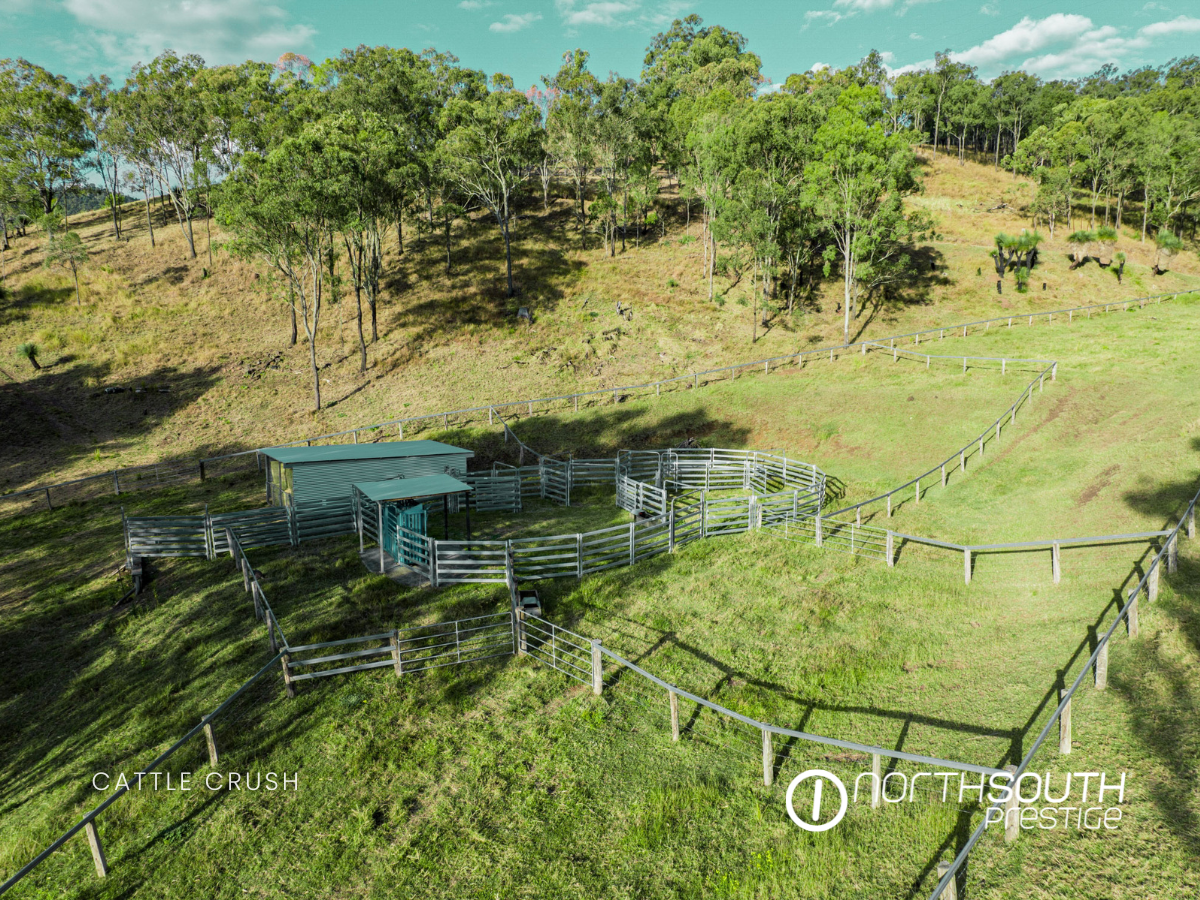 Rural Scenic Rim QLD property with cattle yards, fencing, and open pasture land for sale.