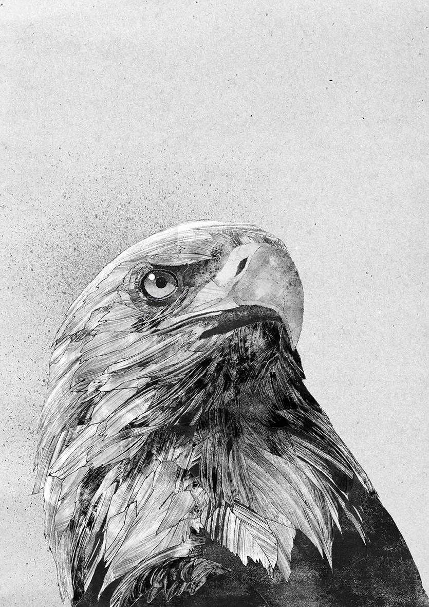 Eagle web.jpg
