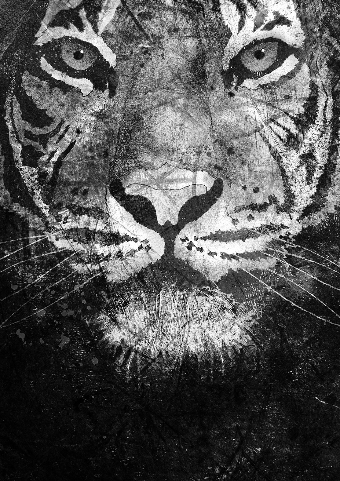 tiger A3 (web small).jpg