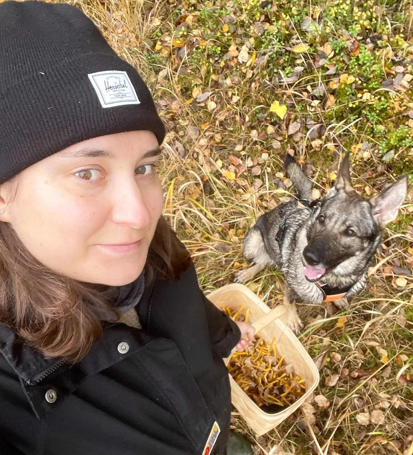 Syksyiset terkut sienimets&auml;st&auml; 🍂 Loppuvuoden osteopatia-ajat on avattu kalenteriin. 

Toivottuja ilta-aikoja on tarjolla v&auml;h&auml;n enemm&auml;n, niist&auml; kannattaakin varata parhaat p&auml;&auml;lt&auml;. Joulun tienoille saattaa 