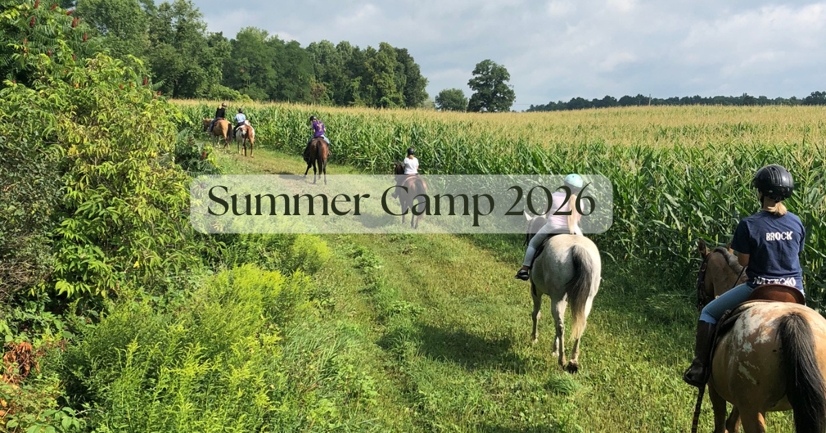 Summer Camp at Nunda Ranch 