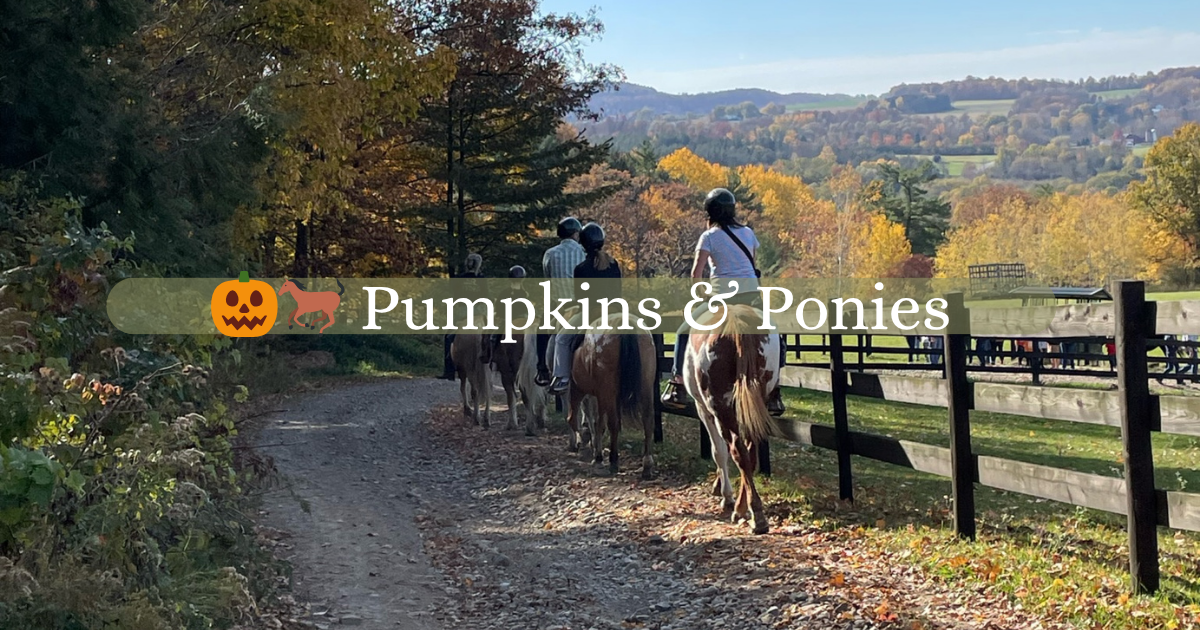Pumpkin & Ponies