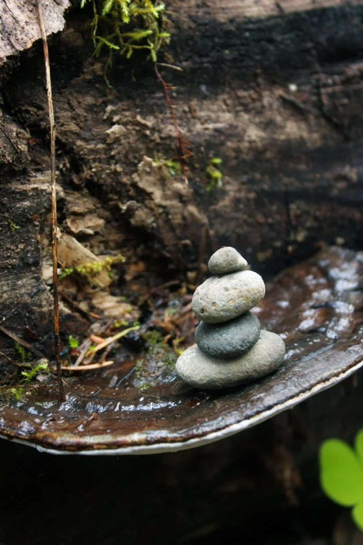 What’s Good? What’s Wellness?