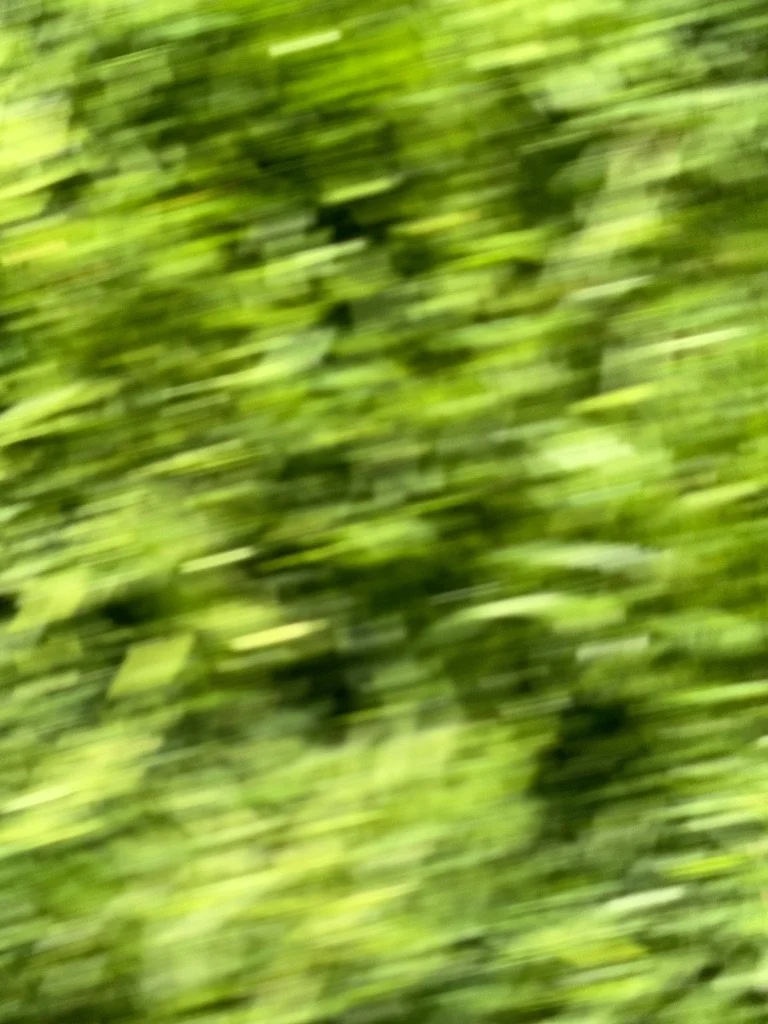 Let’s Talk About The Absurdity