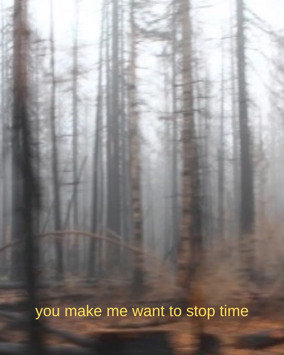 stop time (print, 2022)