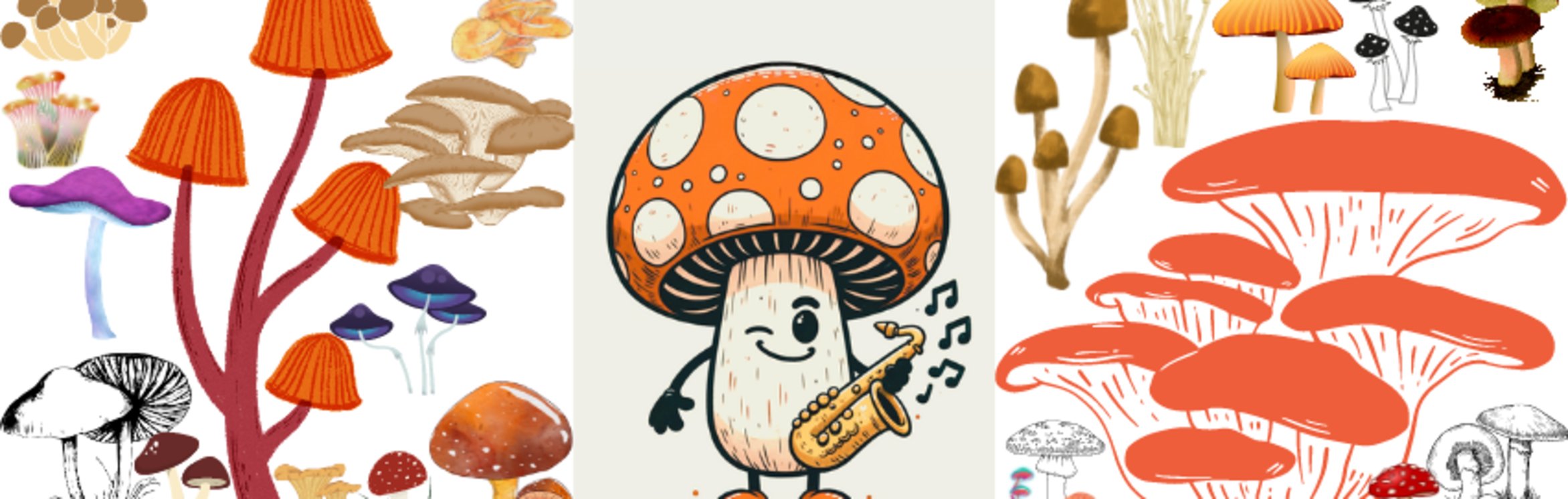 Mushrooms, Music, and More Festival