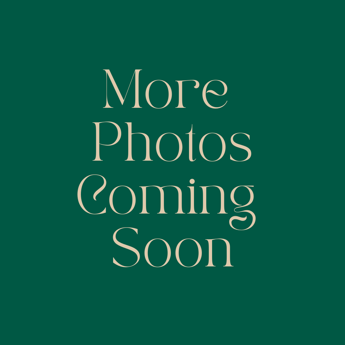 More Photos Coming Soon Placard.png