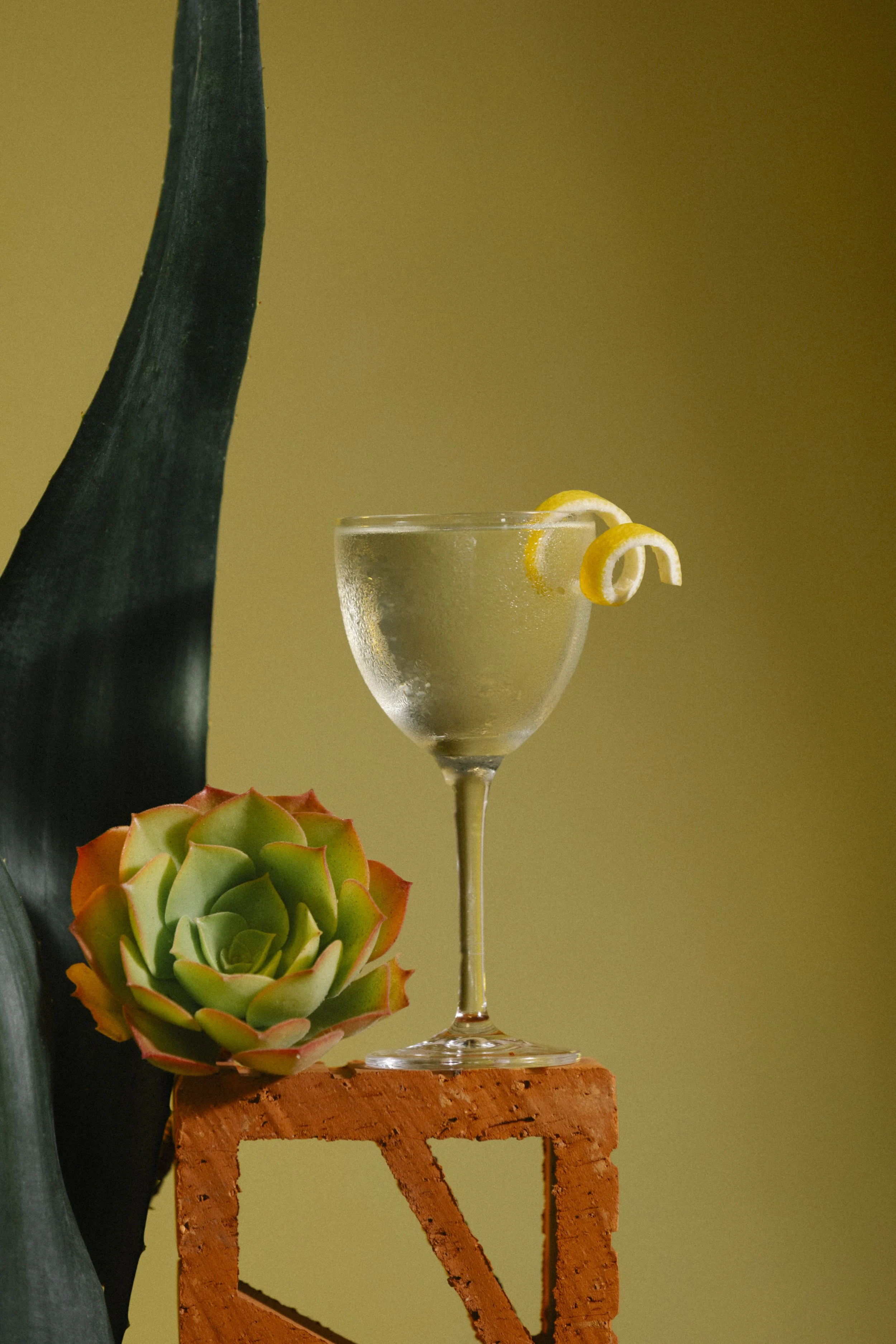 20260614_NKOSSEK_MADRE-COCKTAILS_9916.jpg