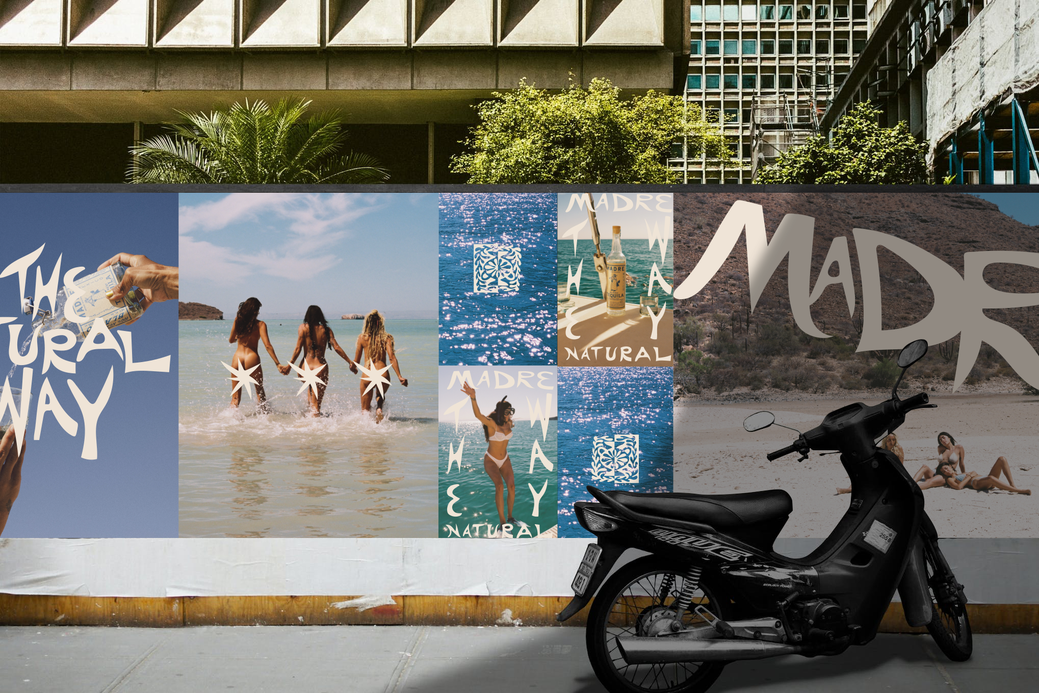 behance-6567351b767f1.png
