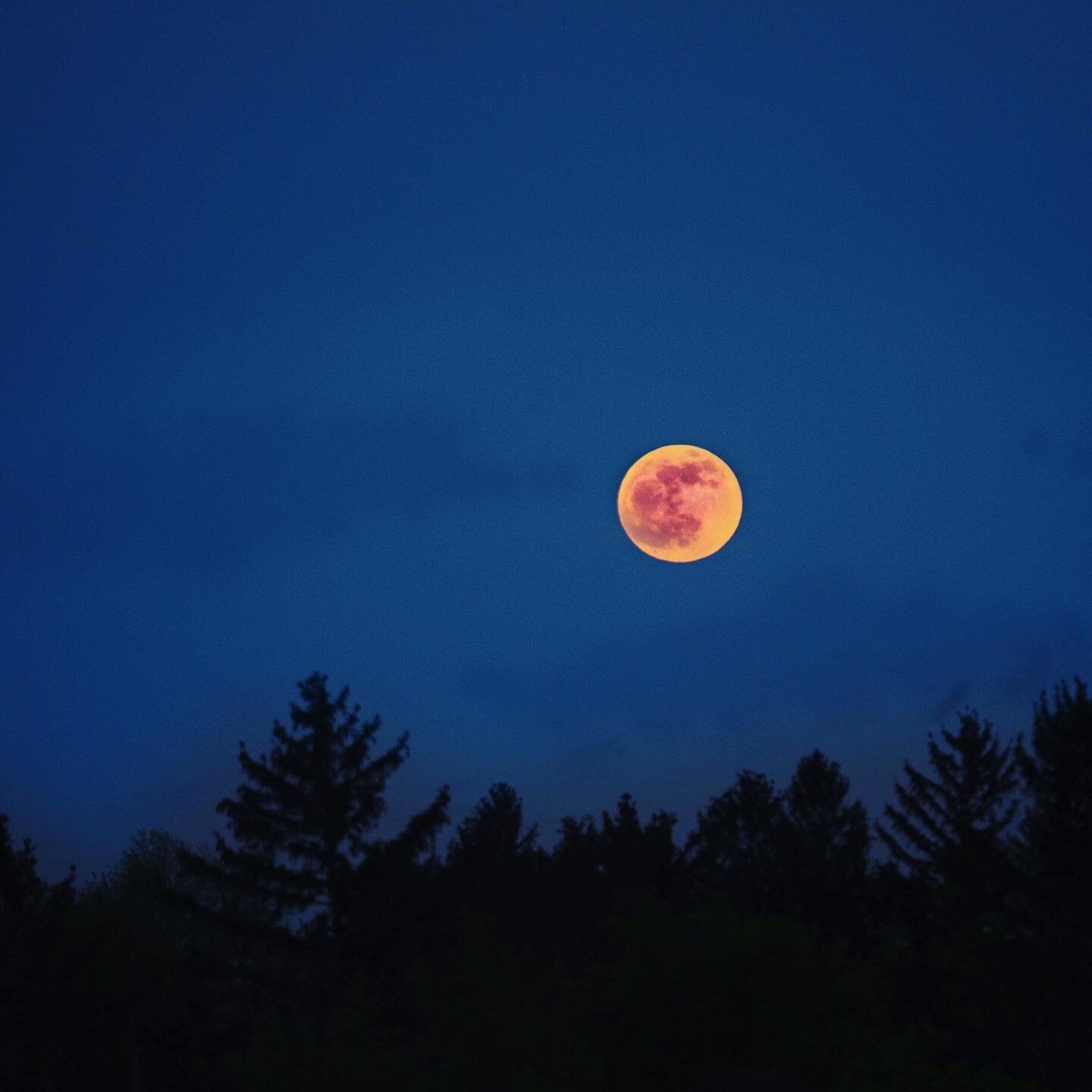 Some times you miss the shot. Some times you miss hundreds of them. But through failure you learn to get the one that counts. 

Blood moon from this past weekend, taken from my bedroom window because my dog refused to go for car ride, composite with 