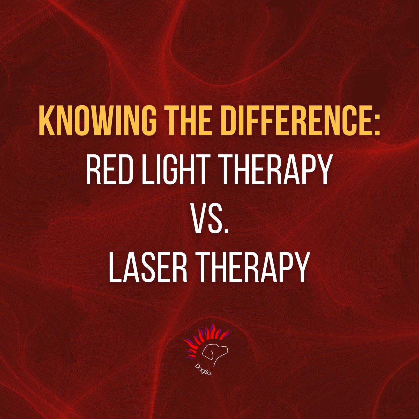 Knowing the Difference: Laser vs. Red Light Therapy

Since the early &lsquo;80s, light therapy has been used in the veterinary world to help animals (primarily dogs and horses) with healing and performance. The first light therapy that was widely use