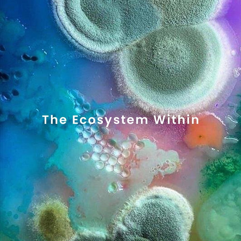This workshop looks at the structural parallels between the human microbiome and larger ecologies, as well as the importance of biodiversity for both the interior and exterior ecosystems.

Artwork shared with permission from artist Dasha Plesen (www.