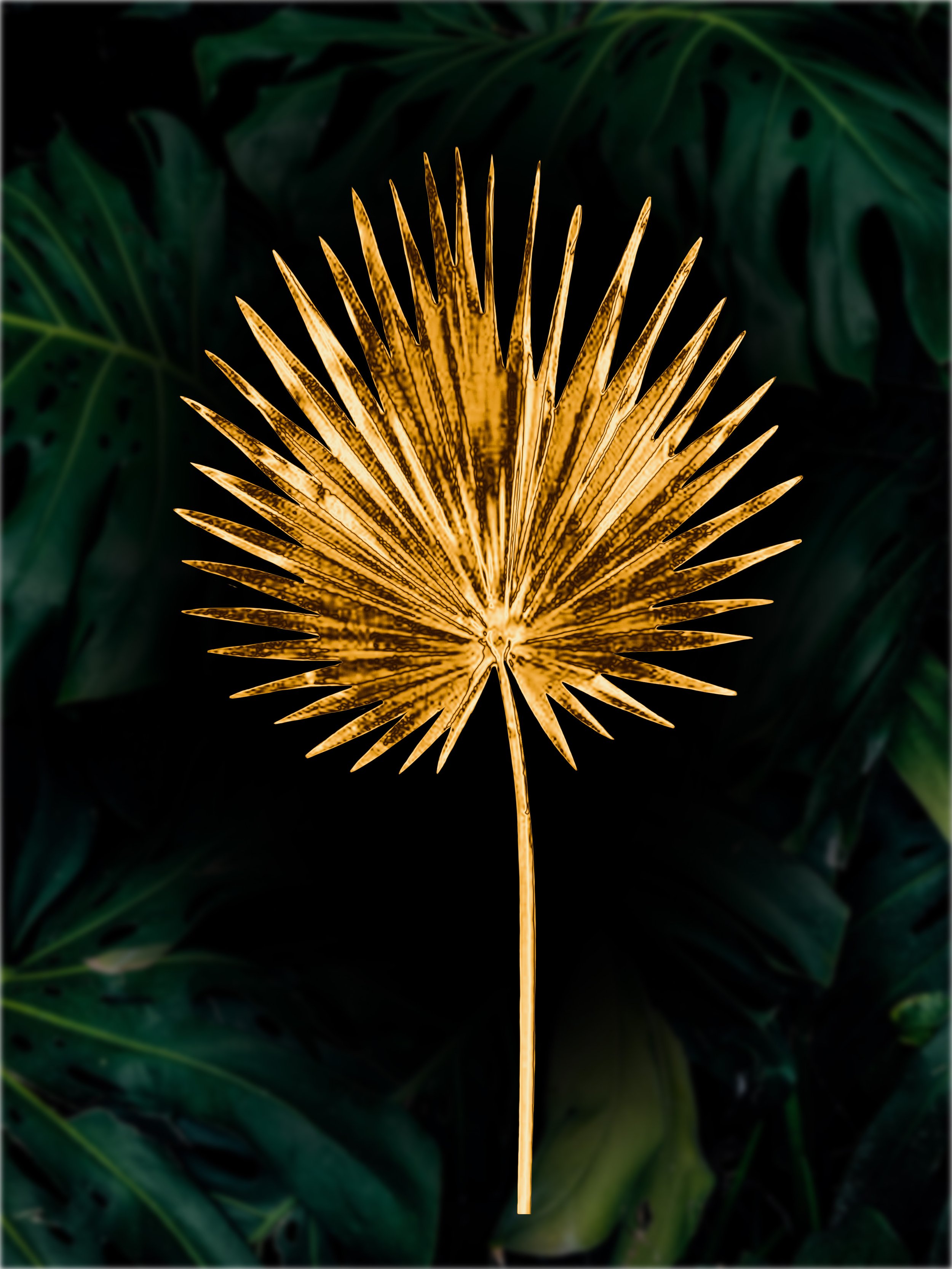 Palm Green BG.jpg