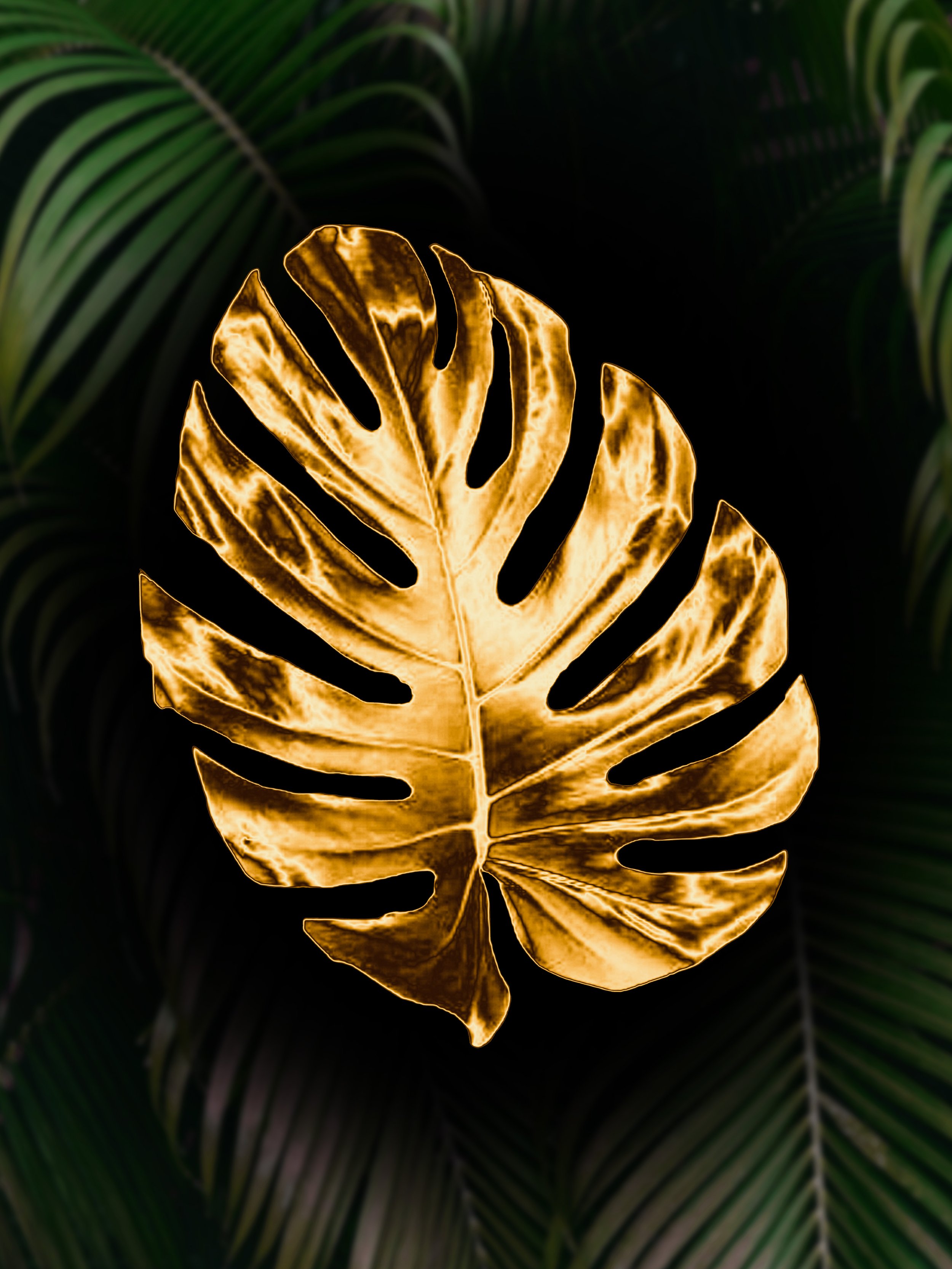 Monstera Green BG.jpg