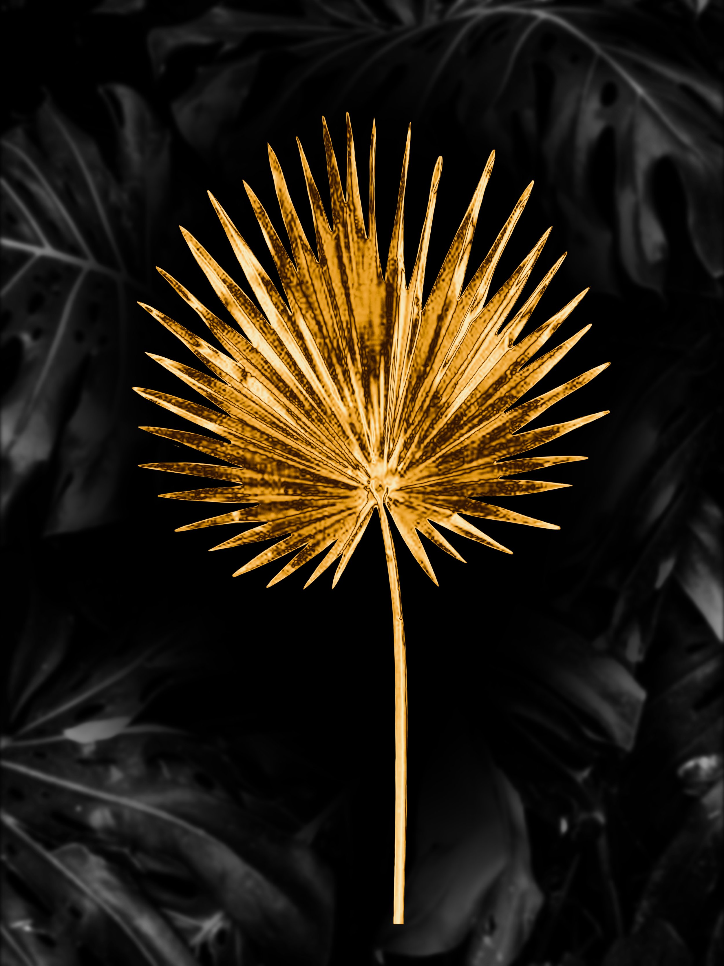 Palm B&W BG.jpg