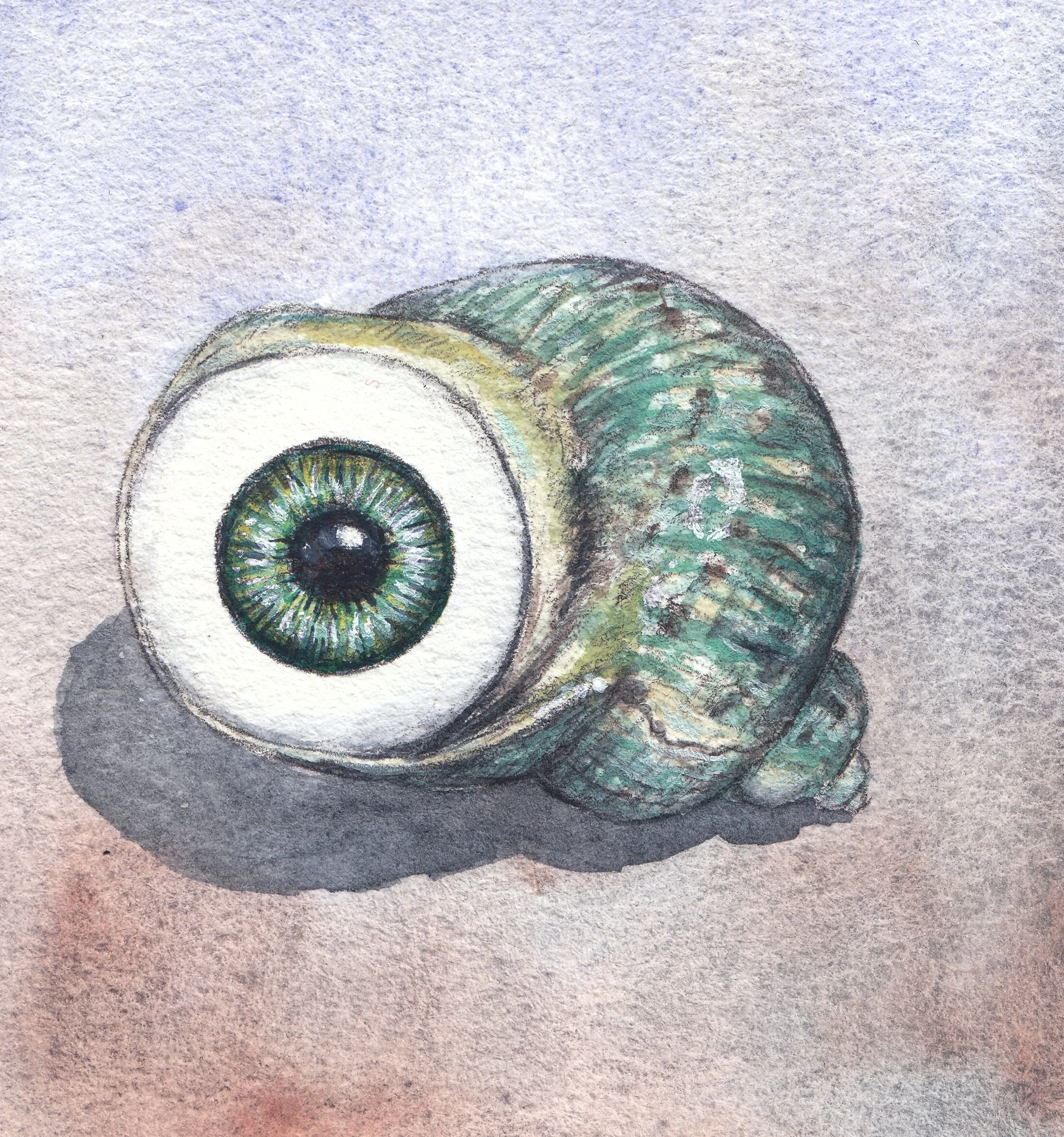 Snail Eye 4x4  inch watercolor painting