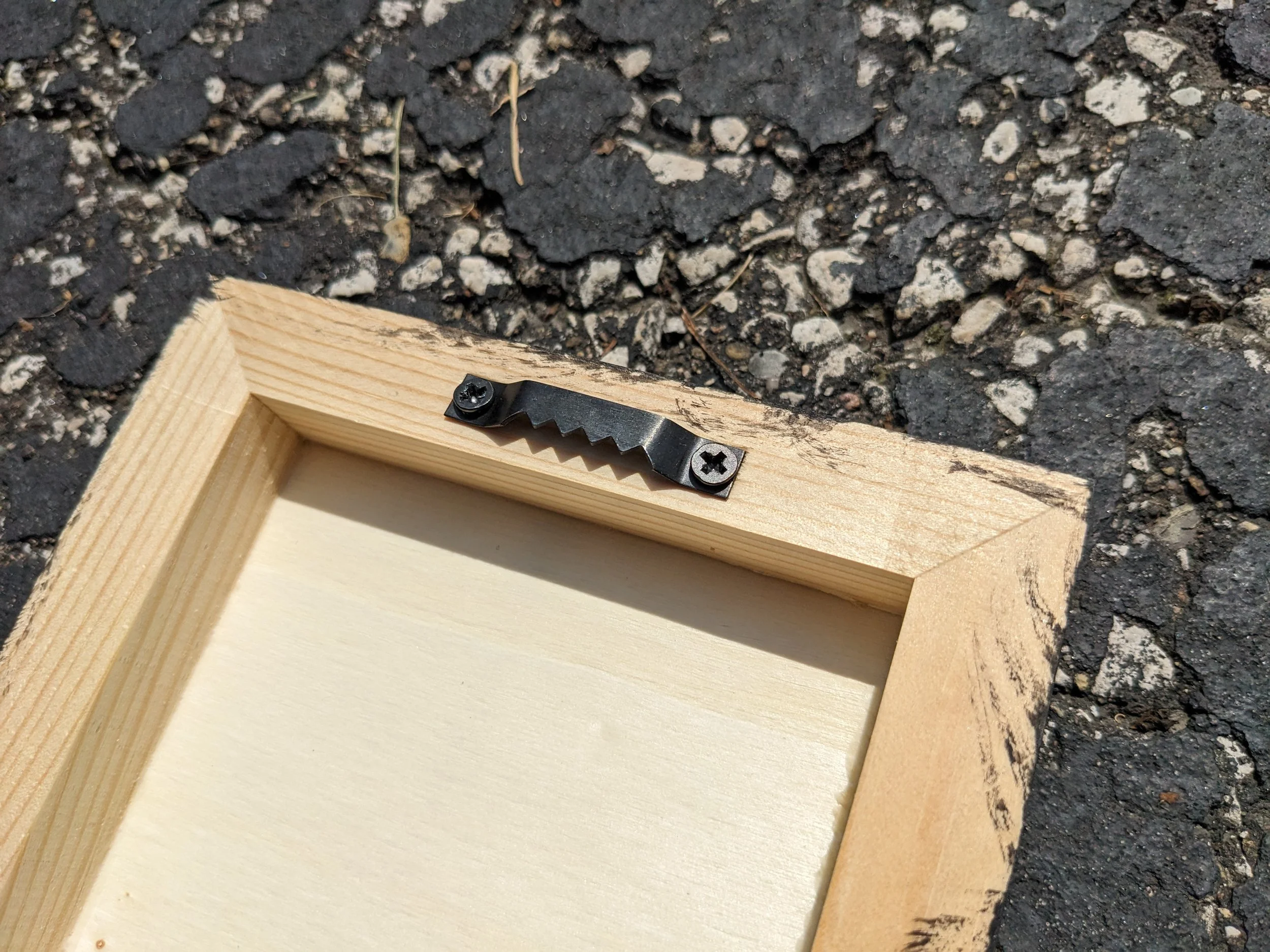 PXL_20230707_153344052.jpg (Copy)