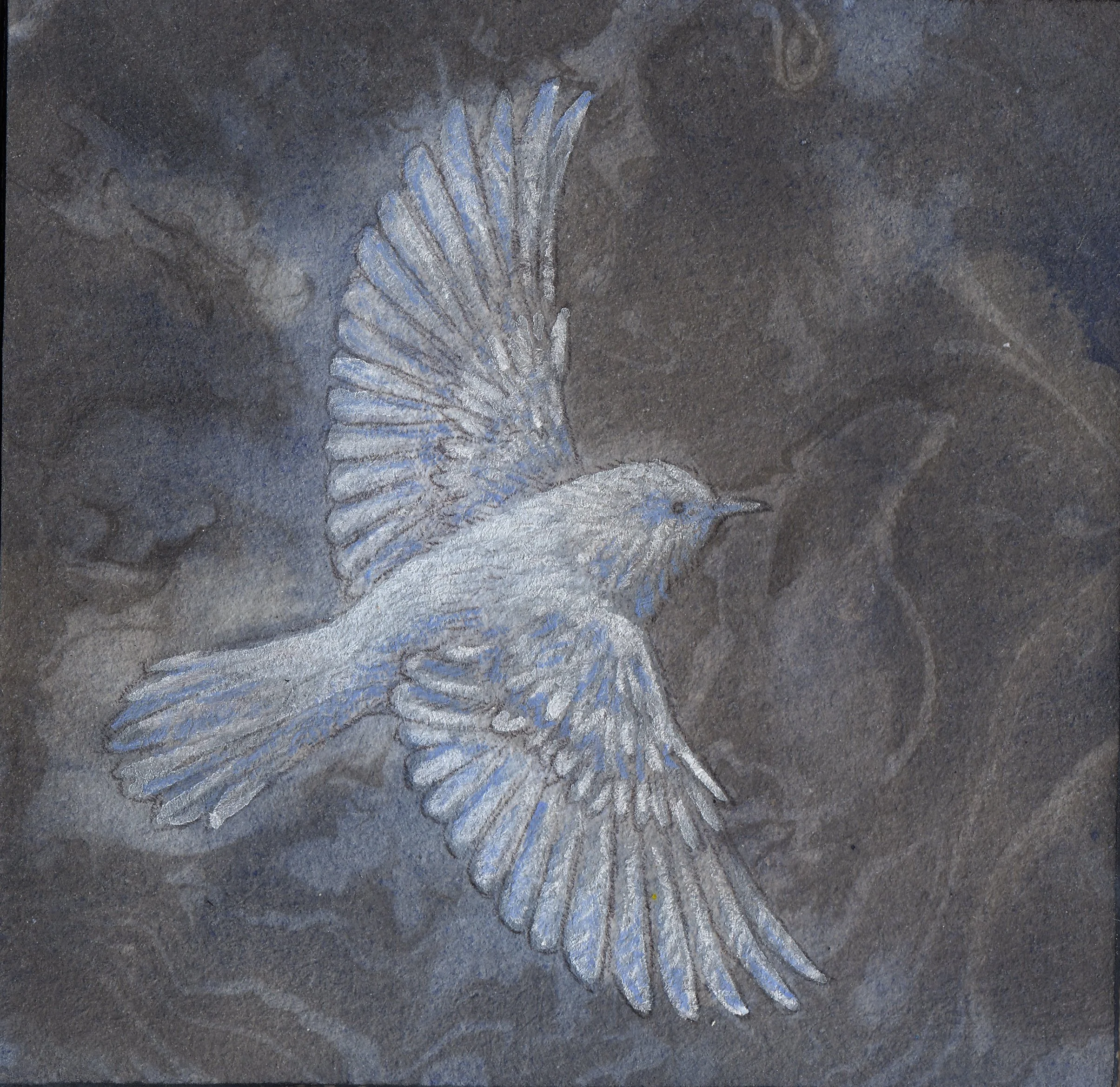 Bird in flight 4x4 inch watercolor painting