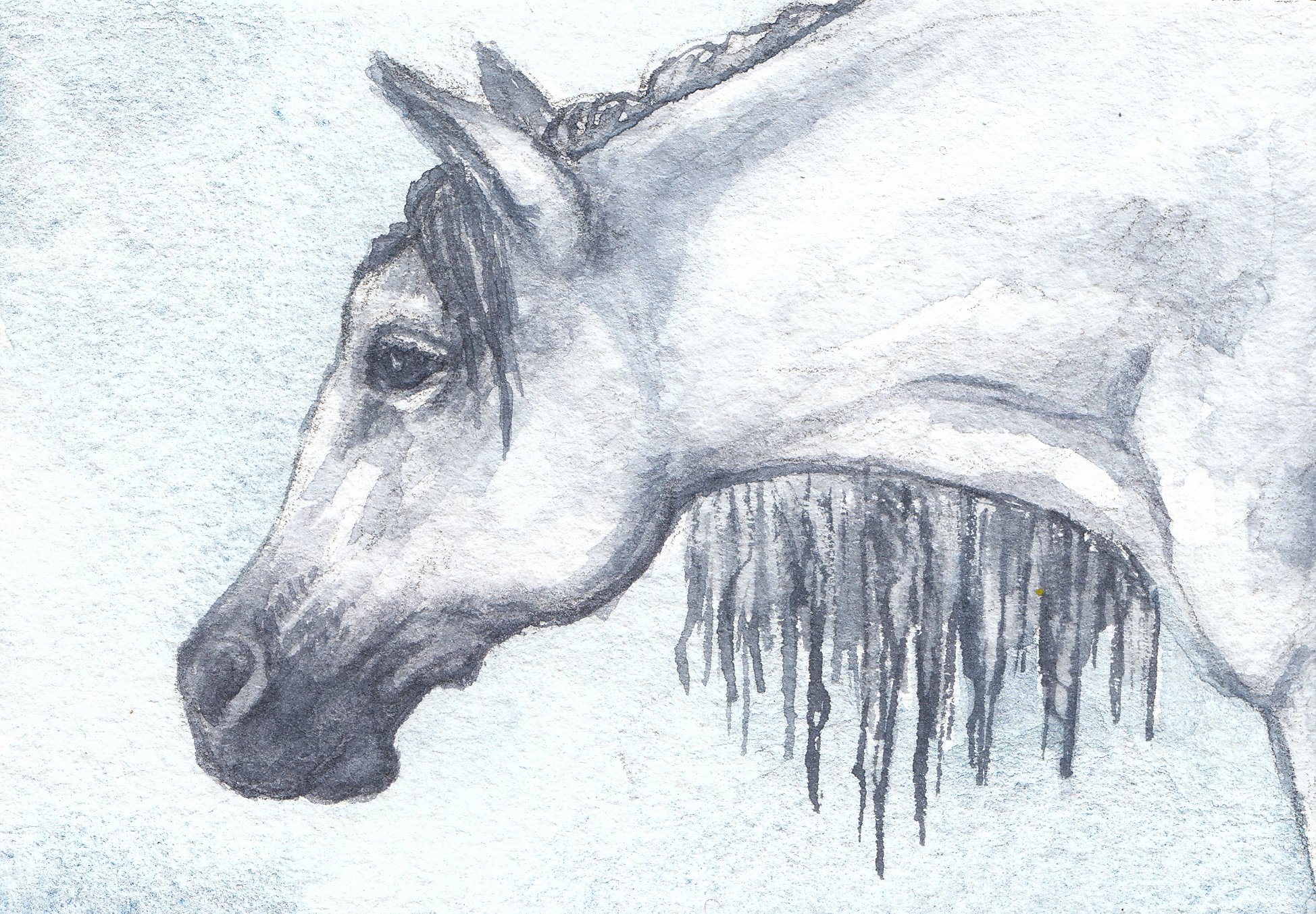 whitehorsesmaill.jpg