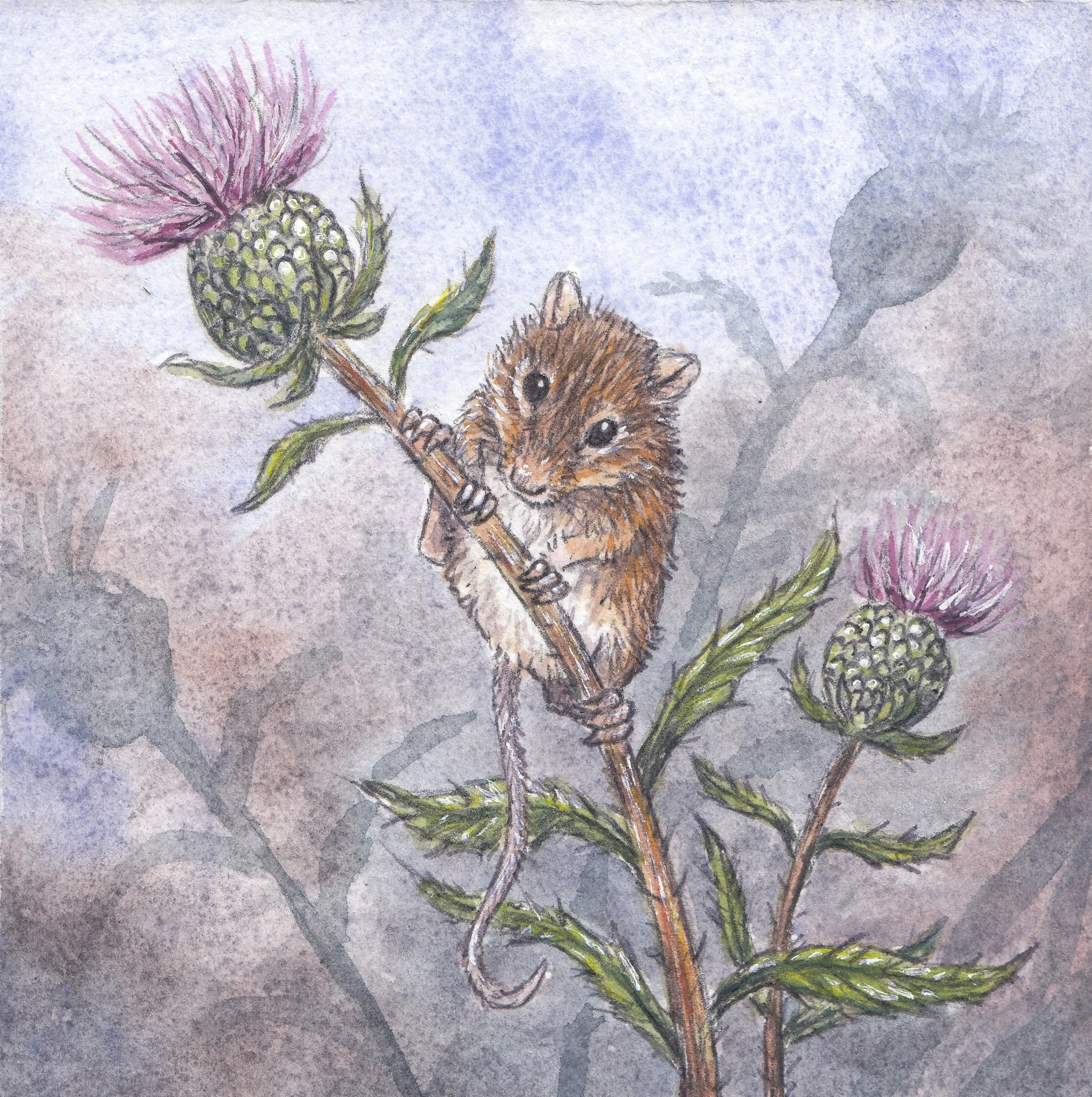 Bramble 4x4 inch watercolor painting