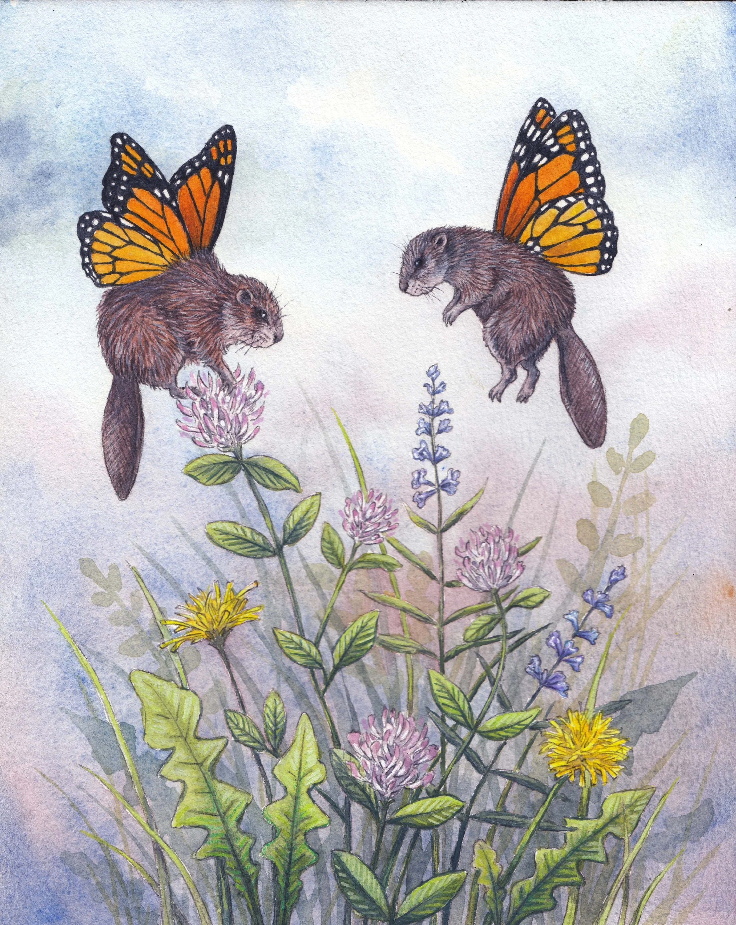 Butterfly Beavers watercolor painting 8x10