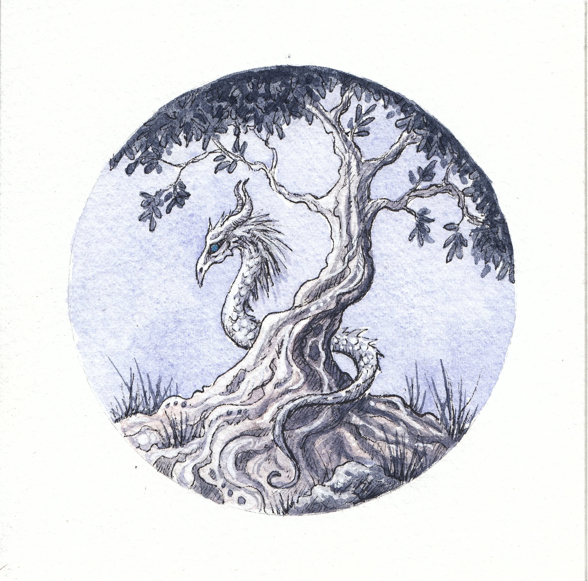 olivetree.jpg
